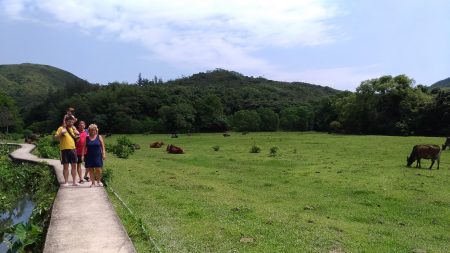 70% von Hong Kong sind geschützter Nationalpark!